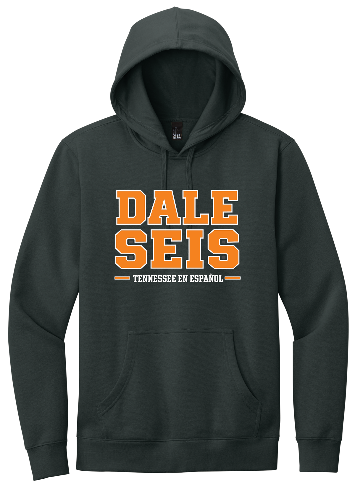 Dale Seis Collegiate hoodie Charcoal